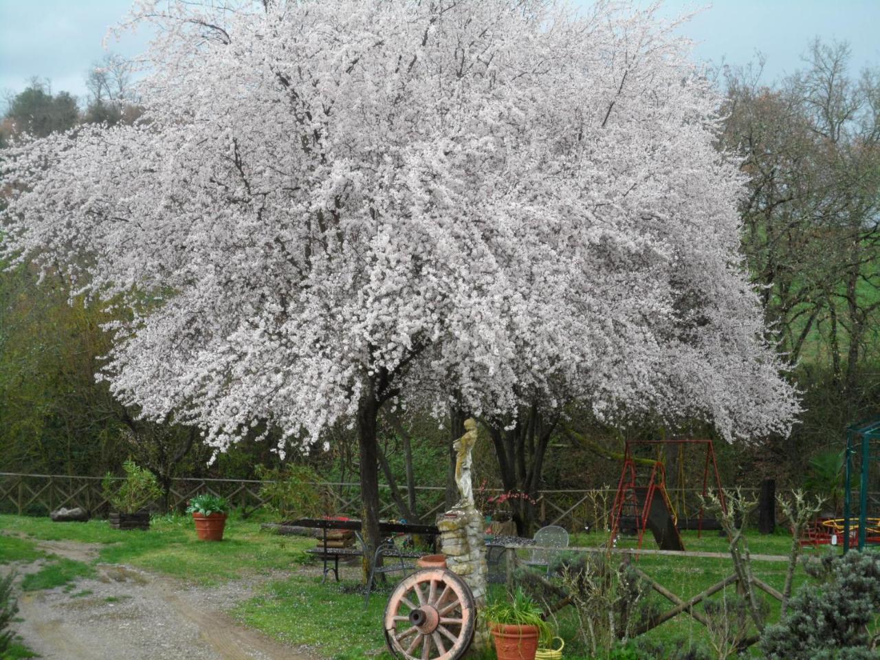 Locanda Delle Noci Perugia Zewnętrze zdjęcie